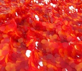 Red degrad? sequins